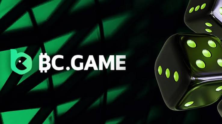Understanding the BC.Game Login Process A Step-by-Step Guide
